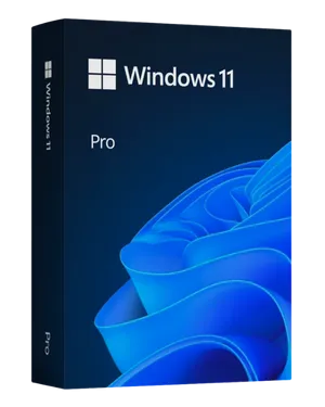 Windows 11 Pro OEM